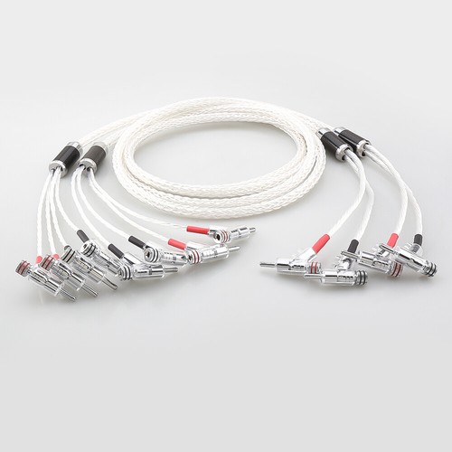 Coppia 8ag placcato - coppia, argento