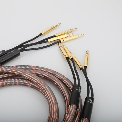 Coppia audiophile accuphase - coppia,